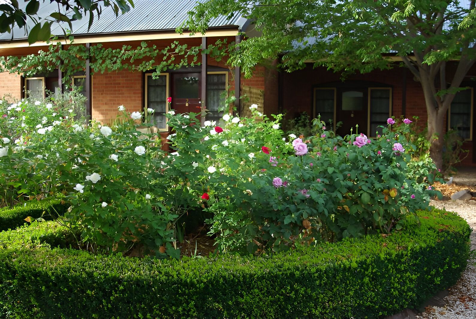 Motel room and verandah at Quartz Reef Motel